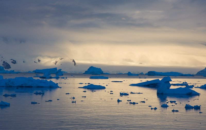 Icebergs And Mountains